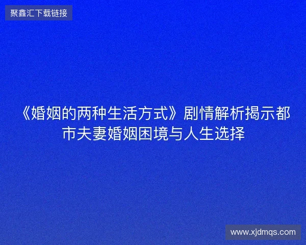 《婚姻的两种生活方式》剧情解析揭示都市夫妻婚姻困境与人生选择