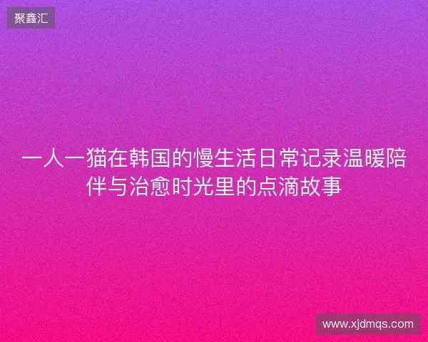 一人一猫在韩国的慢生活日常记录温暖陪伴与治愈时光里的点滴故事